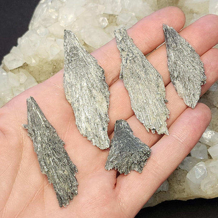 Kyanite Spray Lot