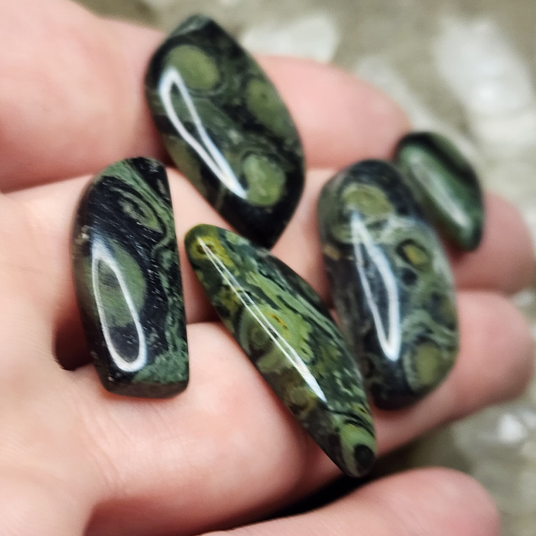 Kambaba Jasper Lot