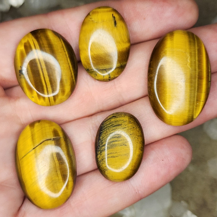 Tiger's Eye lot 2