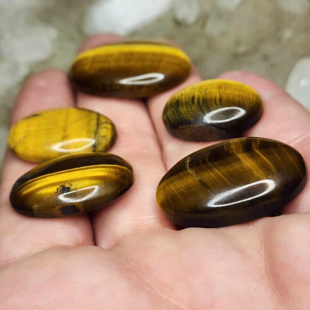 Tiger's Eye lot 2