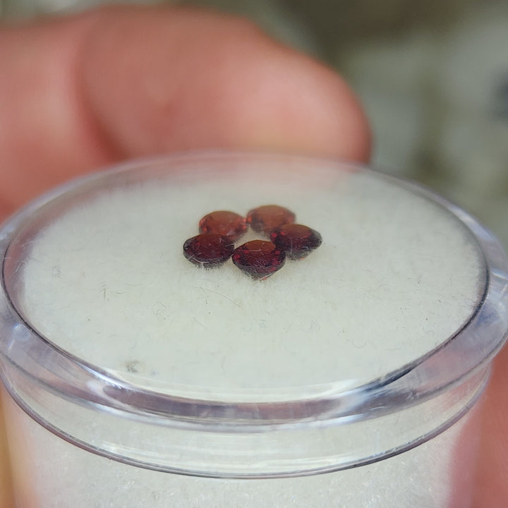 Mozambique Garnet